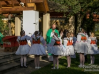 Pout Antonicek-2020-14