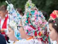 Antonicek 2018-15  (C)Petr_Nedoma