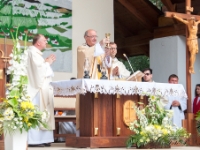 Antonicek 2018-29  (C)Petr_Nedoma