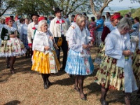 Antonicek Dekovna-2017-012  (C)Petr_Nedoma