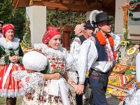 Antonicek Dekovna-2017-024  (C)Petr_Nedoma