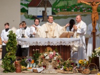 Antonicek Dekovna-2017-090  (C)Petr_Nedoma