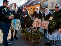 ww.fotopn.cz-74  (C)Petr_Nedoma