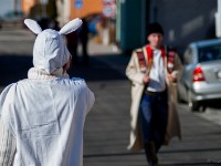 ww.fotopn.cz-91  (C)Petr_Nedoma