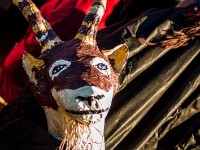 ww.fotopn.cz  (C)Petr_Nedoma