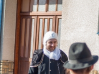 DSC7368  (C)Petr_Nedoma