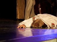 20150808-PNed-DSC 4461