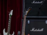 kost zeli blatnicka 2017-5