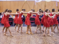 ples hasici nova ves-66