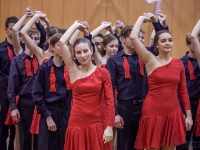 ples hasici nova ves-70