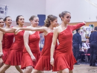 ples hasici nova ves-91