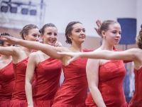 ples hasici nova ves-93