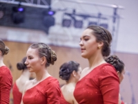 ples hasici nova ves-95