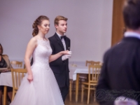 ples klvanovo gymnazium 2017-13