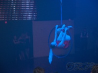 DSC5755  (C)Petr_Nedoma