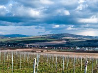 20150406-DSC 1535-Edit