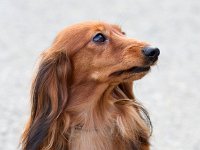 Faria-01 MV-Brno 16-02-06