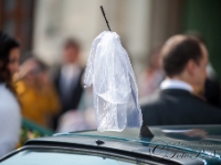 170429-102854-PeNe-9600