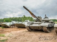 www fotopn cz-a-5  (C)Petr_Nedoma