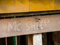 20150604-PNed- DSC0257