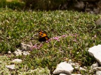 20150608-PNed-Foto-2403