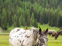 20150608-PNed-Foto-2484