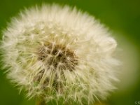 20150609-PNed-Foto-2641