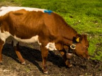 20150612-PNed-Foto-2850