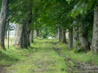 2021-07-23 Kraliky-05