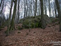 2022-02-05 Rozhledna Hysly-Cimburk-14  Skály nedaleko skaliska Kozel