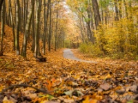 Cachtice-Beckov-01  (C)Petr_Nedoma