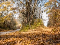 Cachtice-Beckov-33  (C)Petr_Nedoma