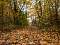 Cachtice-Beckov-35  (C)Petr_Nedoma