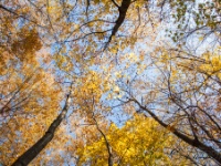 Cachtice-Beckov-37  (C)Petr_Nedoma