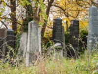 Cachtice-Beckov-40  (C)Petr_Nedoma