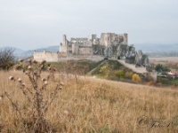 Cachtice-Beckov-44  (C)Petr_Nedoma