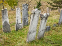 Cachtice-Beckov-55  (C)Petr_Nedoma