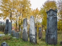 Cachtice-Beckov-58  (C)Petr_Nedoma