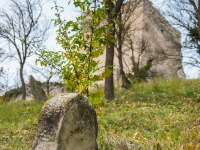 Cachtice-Beckov-61  (C)Petr_Nedoma