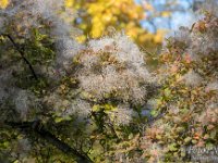 2021-10-28 Podzimni Lednice-12