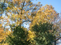 2021-10-28 Podzimni Lednice-16