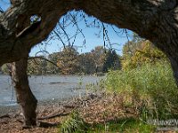 2021-10-28 Podzimni Lednice-26