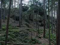 2021-07-19 Toulcovy Mastale-07