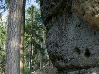 2021-07-19 Toulcovy Mastale-20